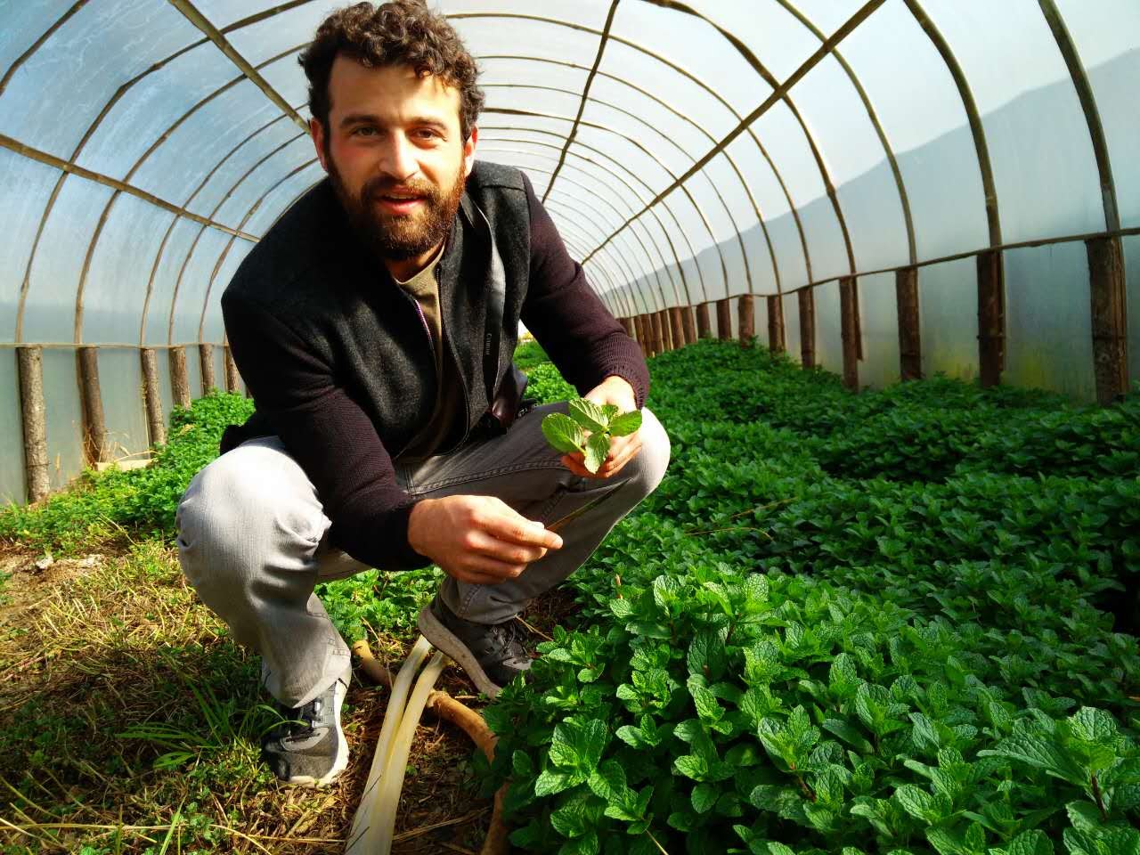 Ben holding a leafy plant in a greenhouse